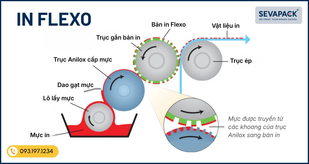 Nguy&ecirc;n l&yacute; hoạt động của In Flexo