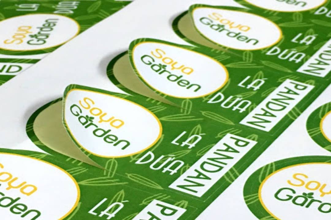 Decal Nhựa Là Gì | Lưu Ý Khi In Tem Nhãn Bằng Decal Nhựa
