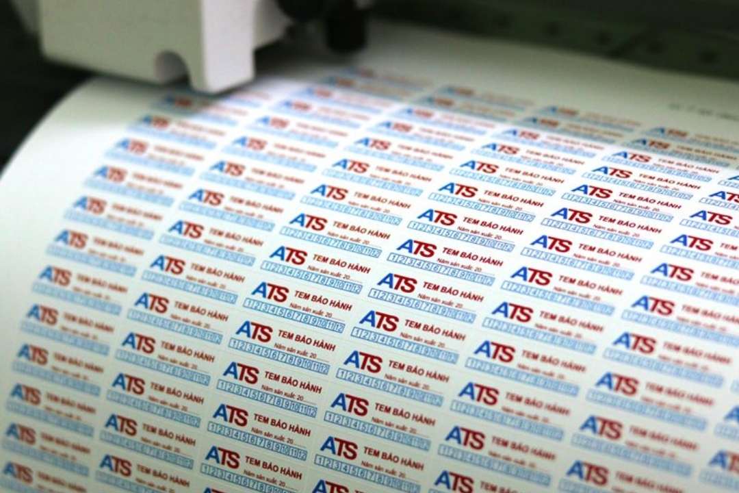 Tổng Hợp Kích Thước Tem Bảo Hành [Cập Nhật 2026]