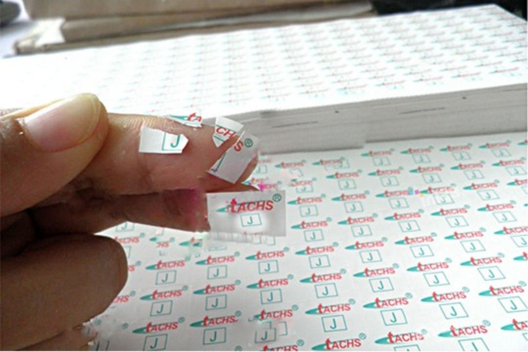 Decal Vỡ Là Gì | Cấu Tạo, Phân Loại Và Ứng Dụng 